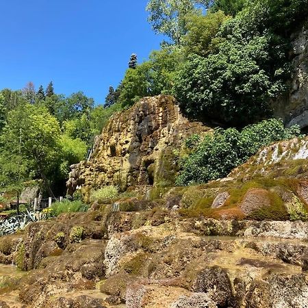 Logement Cosy Et Jardin Saint-Laurent-en-Royans 外观 照片